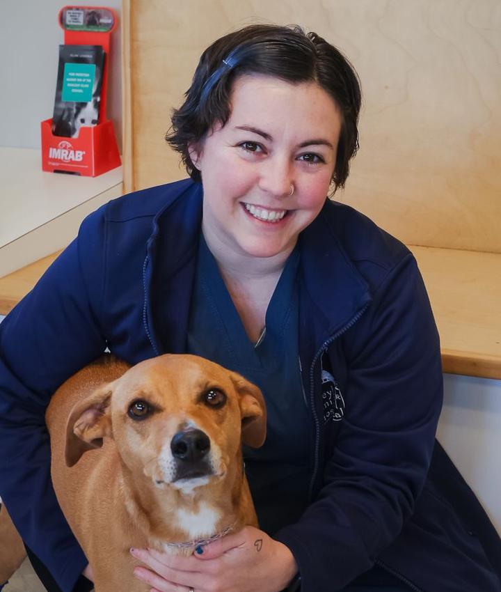 Veterinarians in North Adams | North Adams MA Veterinarians